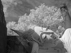 Thailand_OctNovDec_2010_Ayutthaya_Infrared_2657 - Copy (2)